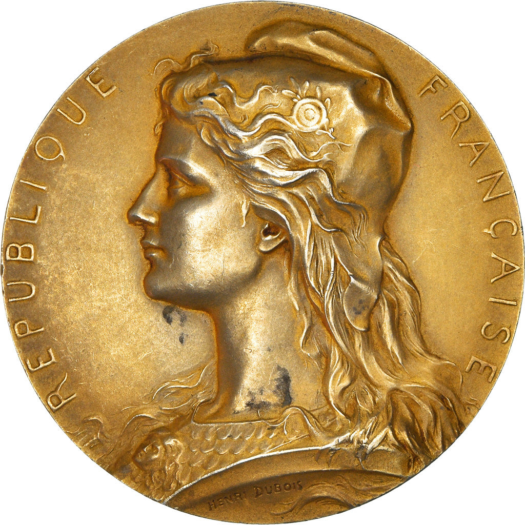 Frankreich, Medaille, Sénat, Regismanset, Politics, 1906, Dubois.H, SS+