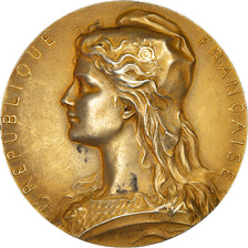 Frankreich, Medaille, Sénat, Regismanset, Politics, 1906, Dubois.H, SS+