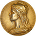 Frankreich, Medaille, Sénat, Regismanset, Politics, 1906, Dubois.H, SS+