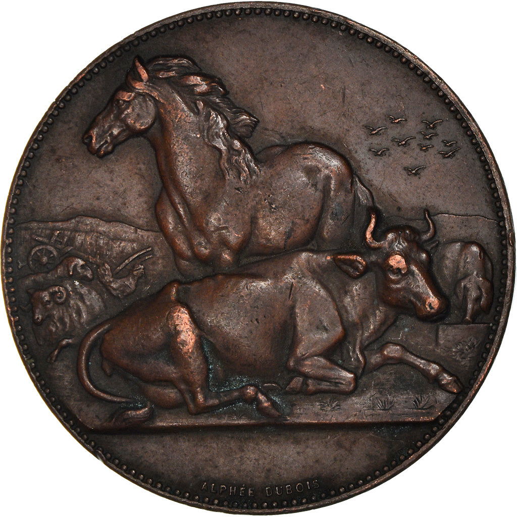 Frankrijk, Medaille, Agriculture, Concours Hippique, Fauville, Yvetôt, 1899