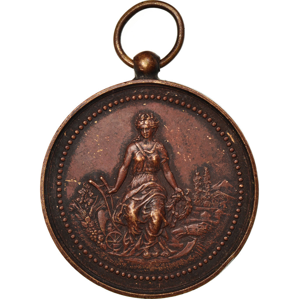 France, Medal, Comice Agricole du Canton Saint-Calais, 1893, VF(30-35), Copper