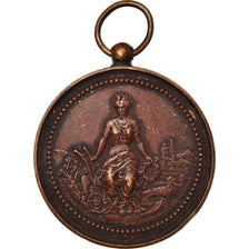 France, Medal, Comice Agricole du Canton Saint-Calais, 1893, VF(30-35), Copper