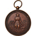 France, Medal, Comice Agricole du Canton Saint-Calais, 1893, VF(30-35), Copper