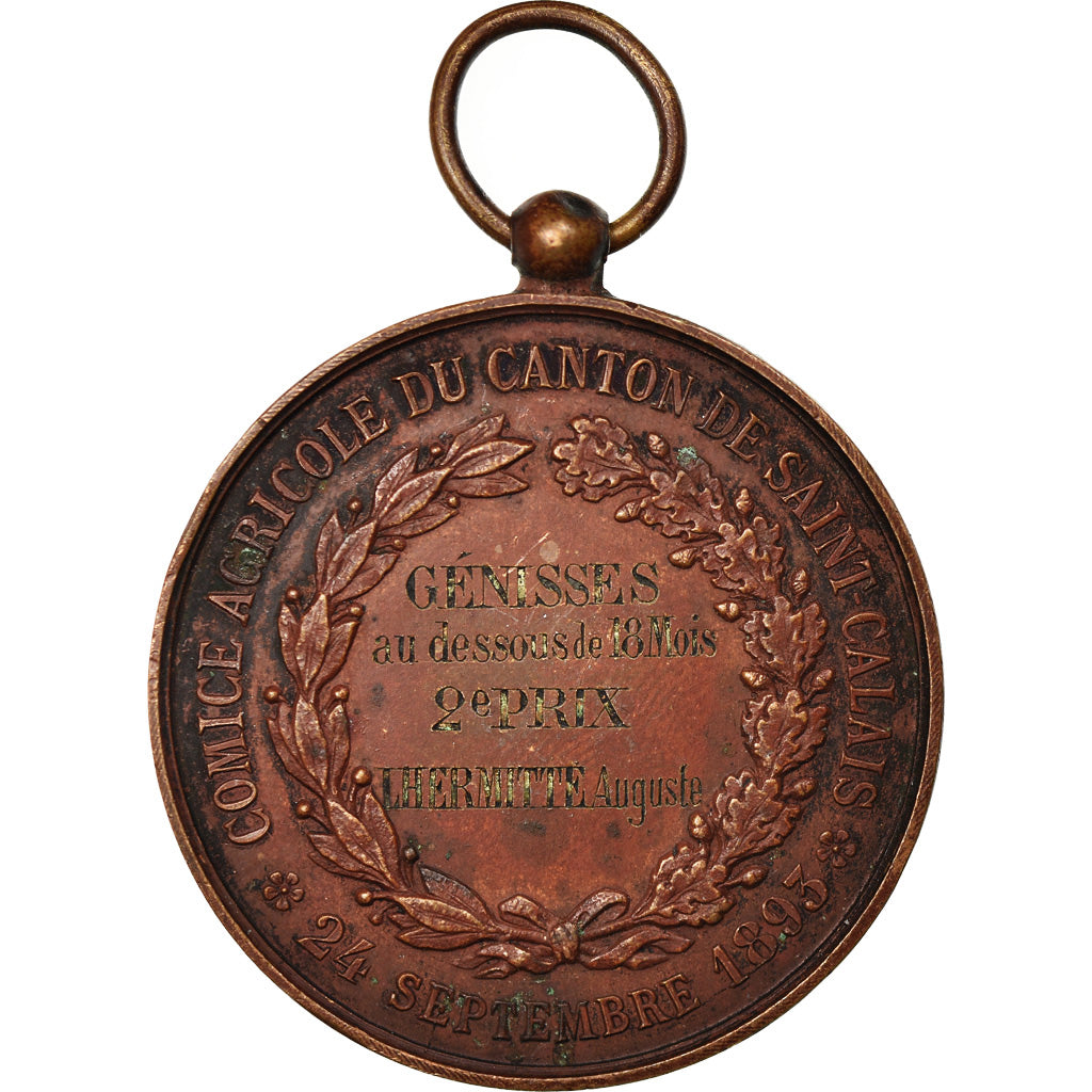 France, Medal, Comice Agricole du Canton Saint-Calais, 1893, VF(30-35), Copper