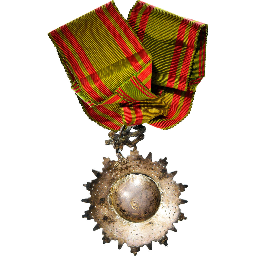Tunisia, Ordre du Nicham al Iftikar, Commandeur, Mohamed III, Medal, 1874