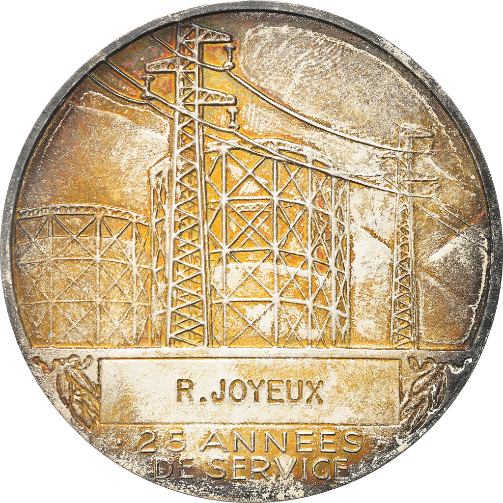 Francja, Medal, Électricité de France et gaz de France, Dropsy, MS(60-62)