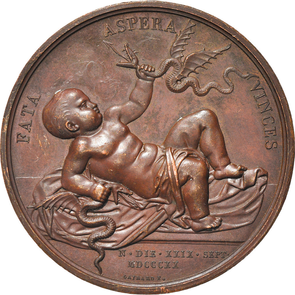 Frankreich, Medaille, Duc et Duchesse de Berry, Naissance du Duc de Bordeaux