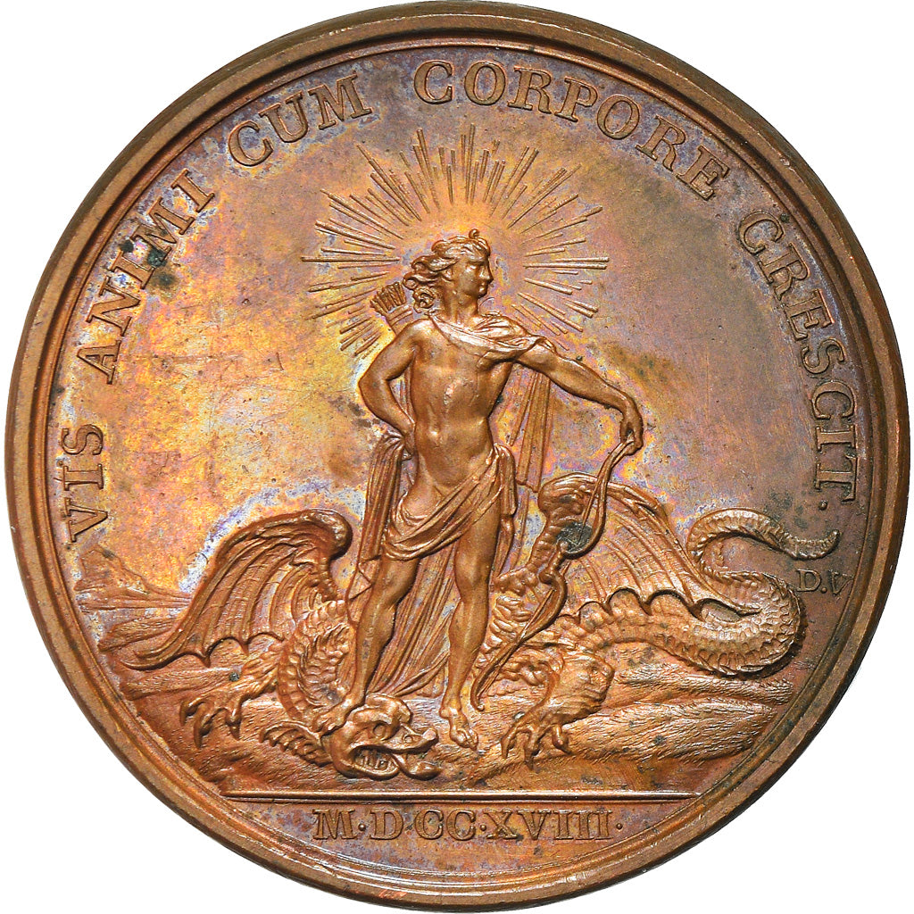 France, Medal, Louis XV, Les Progrès du Roi, History, 1718, Duvivier, Restrike