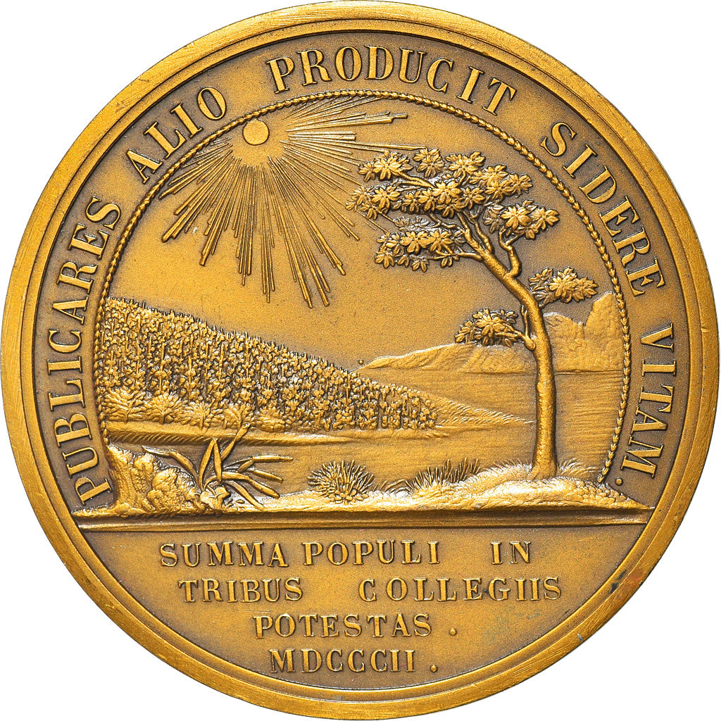 France, Medal, Napoléon Bonaparte, Constitution de la République italienne à