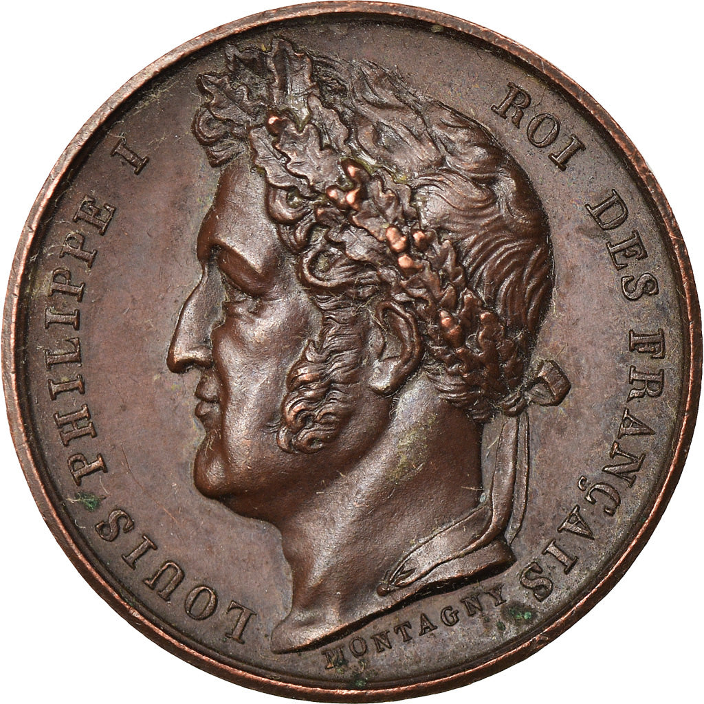 France, Medal, Louis-Philippe Ier, Obélisque de Louqsor, History, 1836