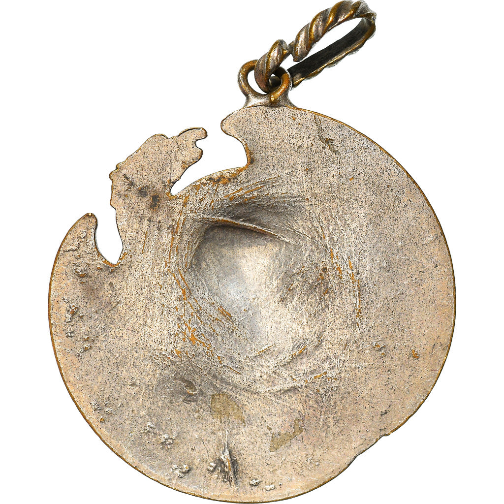 France, Médaille, Napoléon II l'Aiglon, History, TB+, Silvered bronze