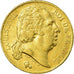 Coin, France, Louis XVIII, Louis XVIII, 20 Francs, 1819, Paris, EF(40-45), Gold
