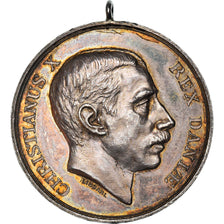 Dinamarca, medalla, Christian X, Slesvig, 1920, Thomsen, EBC+, Plata