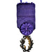 France, Palmes Académiques Officier, Medal, Excellent Quality, Silver, 38