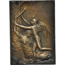 Frankrijk, Medaille, Exposition universelle de Paris, Arts & Culture, 1900