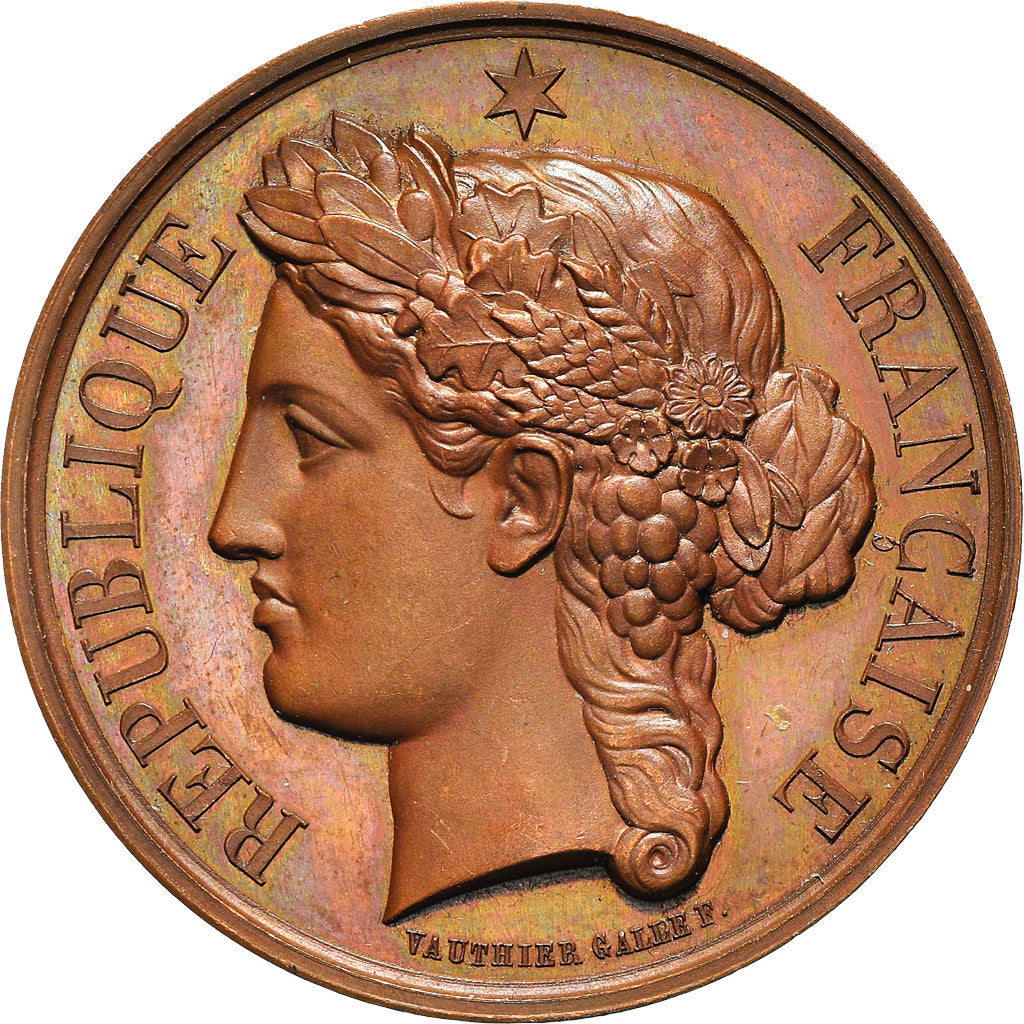 France, Medal, Commission de Surveillance des Prisons de la Seine, Vauthier