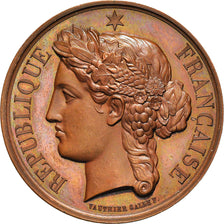 France, Medal, Commission de Surveillance des Prisons de la Seine, Vauthier