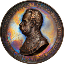 Italia, medalla, Umberto Ier, 800 Years University of Bologna, 1898, Giorgi, SC