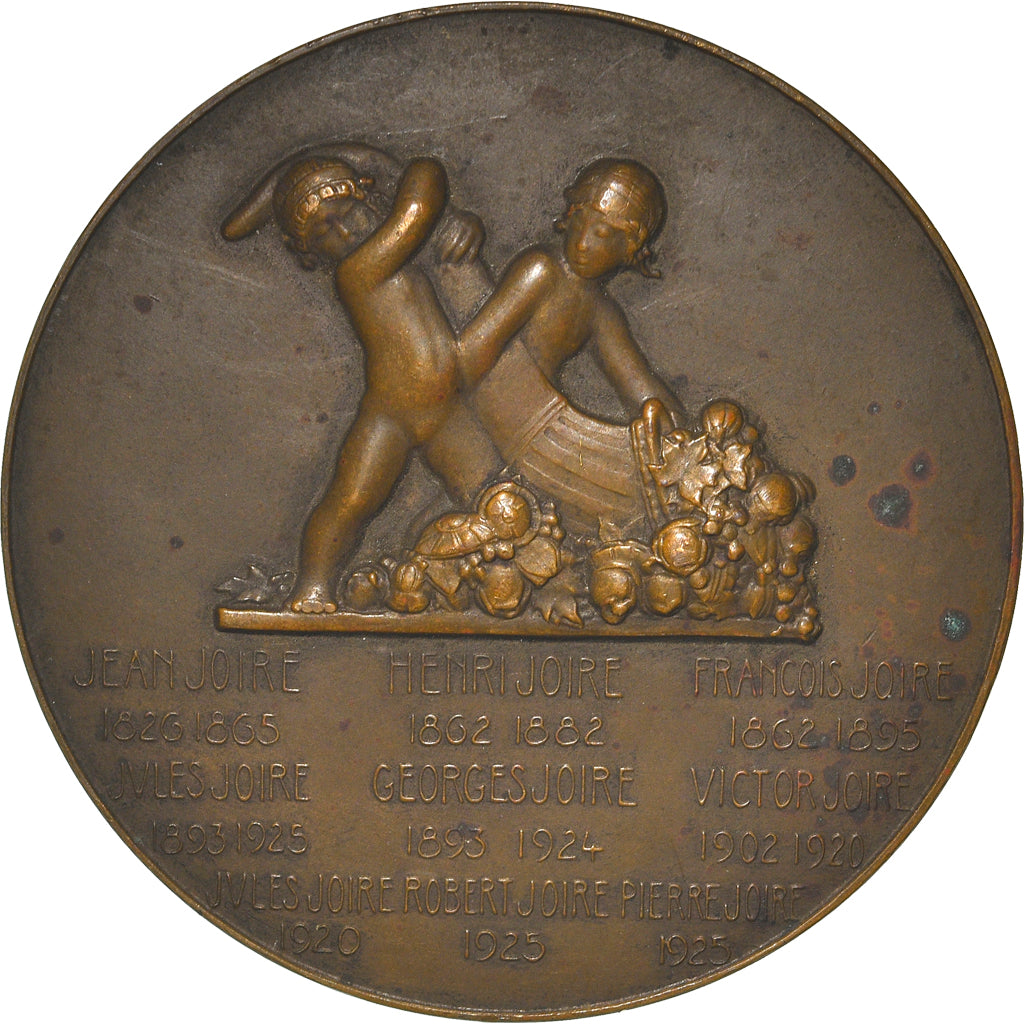 França, Medal, Centenaire de la Banque Joire, 1926, Dammann, AU(50-53), Bronze