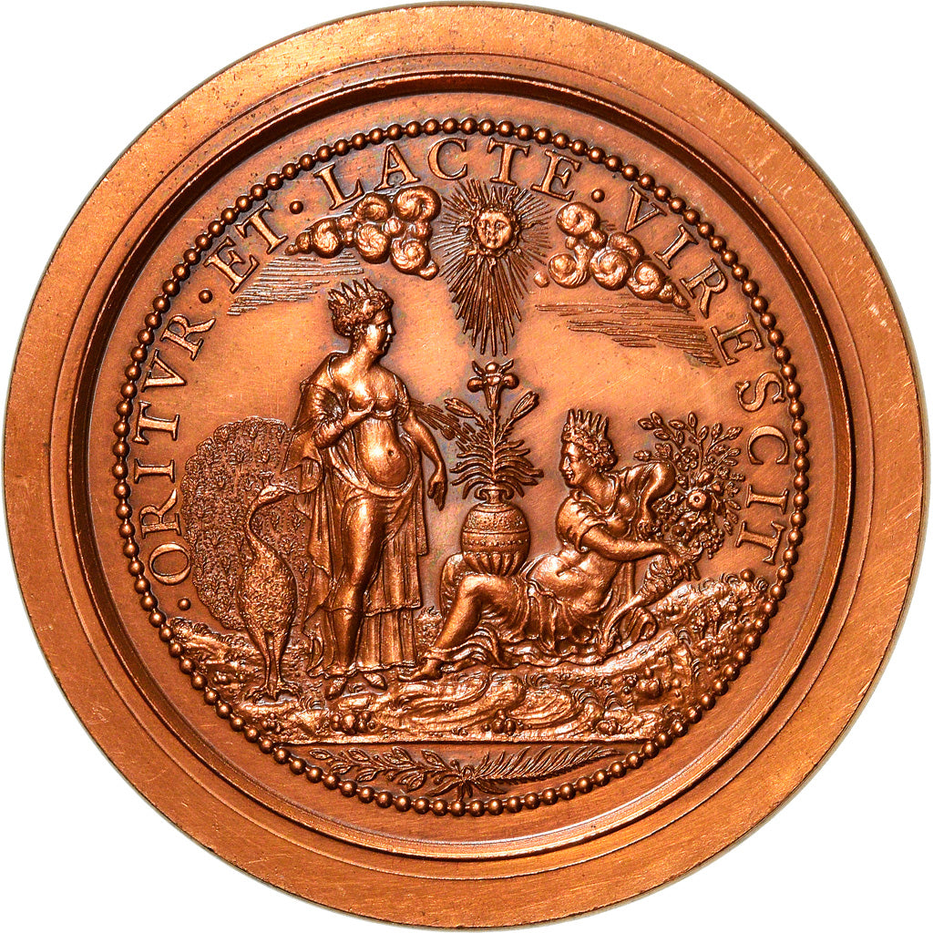 France, Medal, Henri IV, Junon et la Fortune, History, AU(55-58), Copper