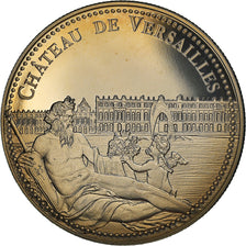 France, Medal, Le Château de Versailles, Arts & Culture, MS(65-70)