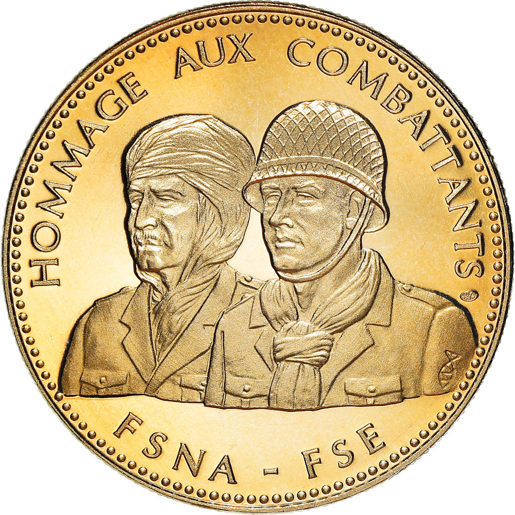 Francia, medalla, Guerre d'Algérie, Hommage aux Combattants, FSNA-FSE, WAR