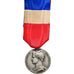 France, Honneur et Travail, Ministère des Affaires Sociales, Medal, 1971