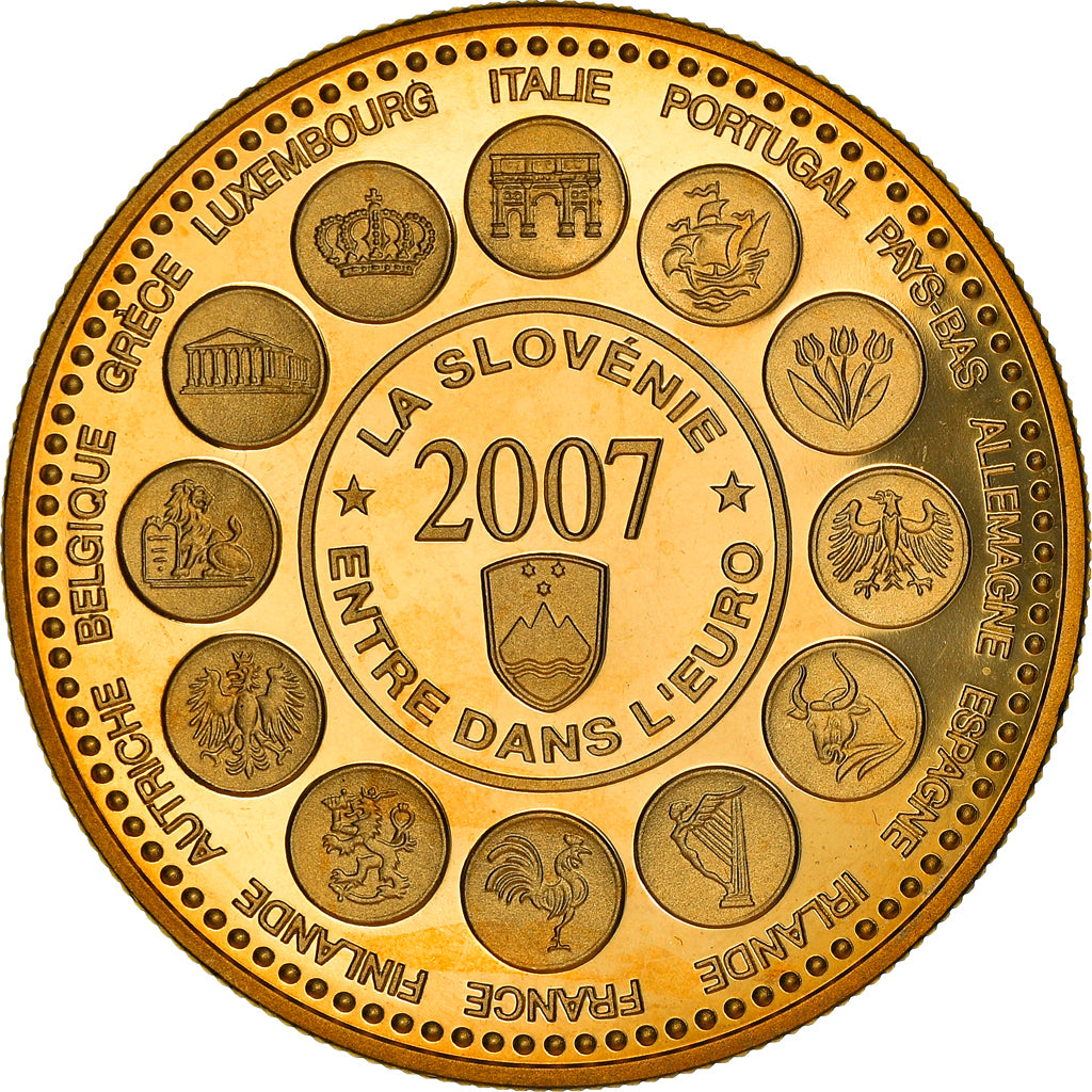France, Medal, L'Europe des XXVII, La Slovénie entre dans l'Euro, Politics