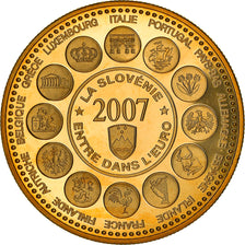 France, Medal, L'Europe des XXVII, La Slovénie entre dans l'Euro, Politics