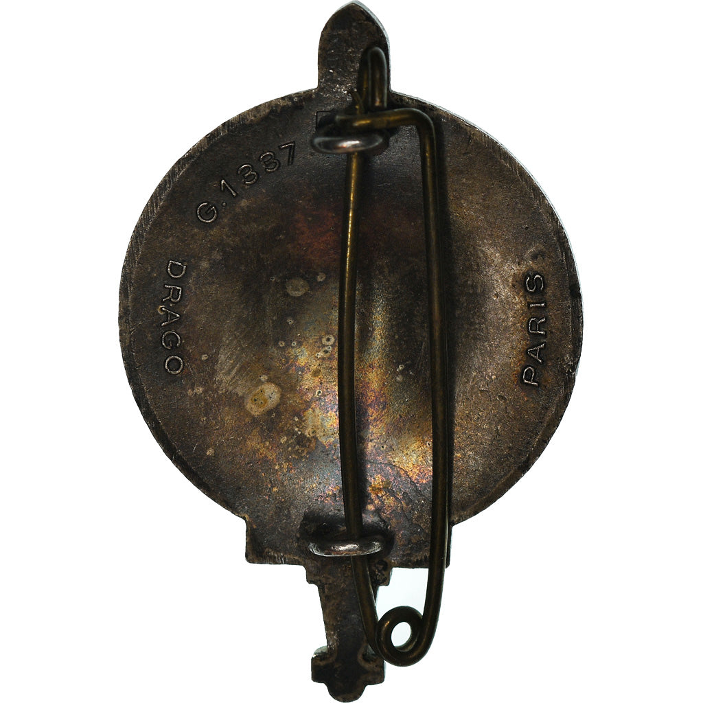 Algeria, Insigne de Béret, AFN, Troupes Aures Nemencha, WAR, Médaille