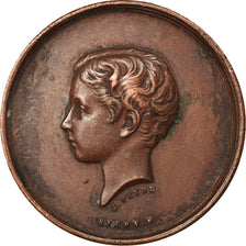Francia, medalla, Napoléon IV, Société du Prince Impérial, Enfance au
