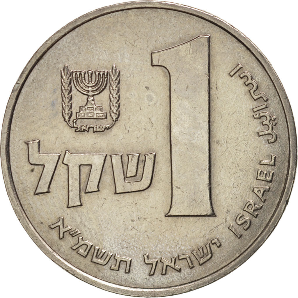 Coin, Israel, Sheqel, 1981, EF(40-45), Copper-nickel, KM:111