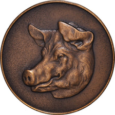 France, Medal, Agriculture, Offert par le Syndicat Agricole d'Aire
