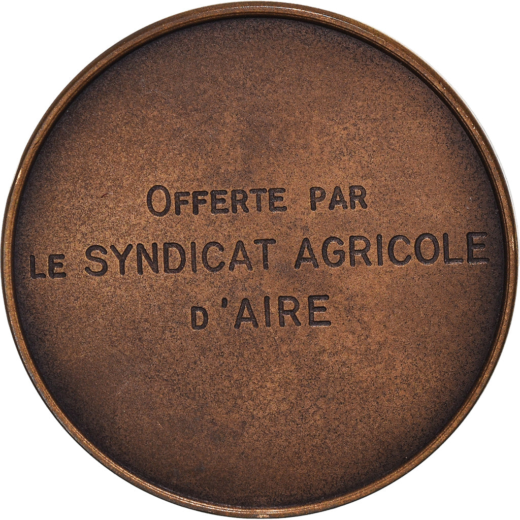 France, Medal, Agriculture, Offert par le Syndicat Agricole d'Aire