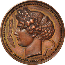 France, Medal, Le Progrès, Comice Agricole, Agriculture, Oudiné, AU(55-58)