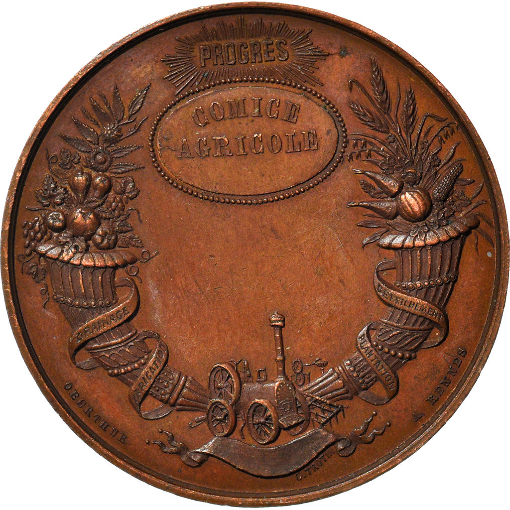 France, Medal, Le Progrès, Comice Agricole, Agriculture, Oudiné, AU(55-58)