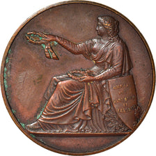 França, Medal, Ecole de Dessin de Malakoff, Artes e Cultura, 1879, AU(50-53)