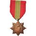 França, Médaille de la Famille Française, Medal, Não colocada em