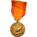 Frankrijk, Insigne du Réfractaire, Medaille, Excellent Quality, Hollebeck, Gilt