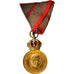 Austria, François-Joseph, Bravoure et Mérite Militaire, Signum Laudis, Medal