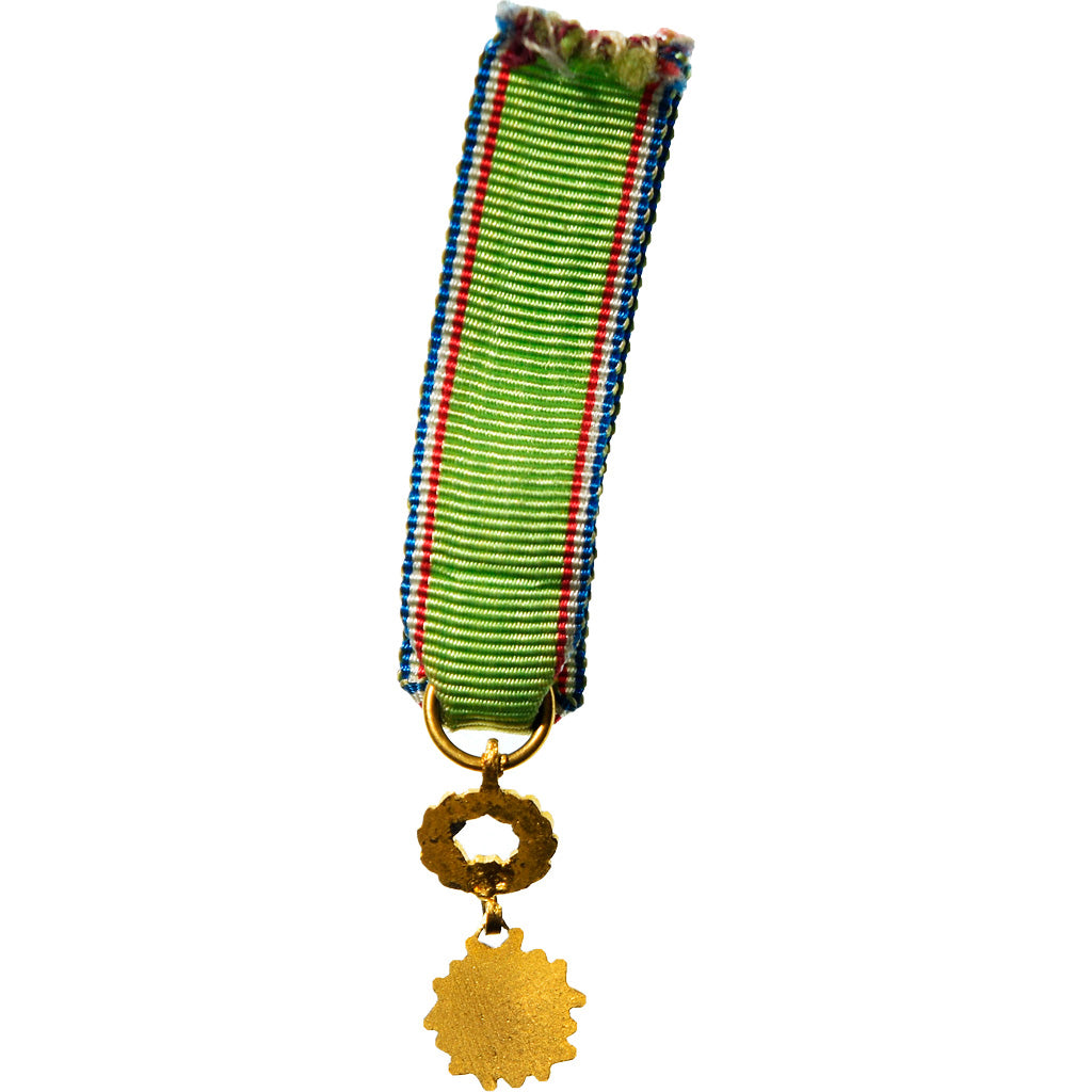 France, Oeuvre Humanitaire, Réduction, Medal, Excellent Quality, Gilt Bronze