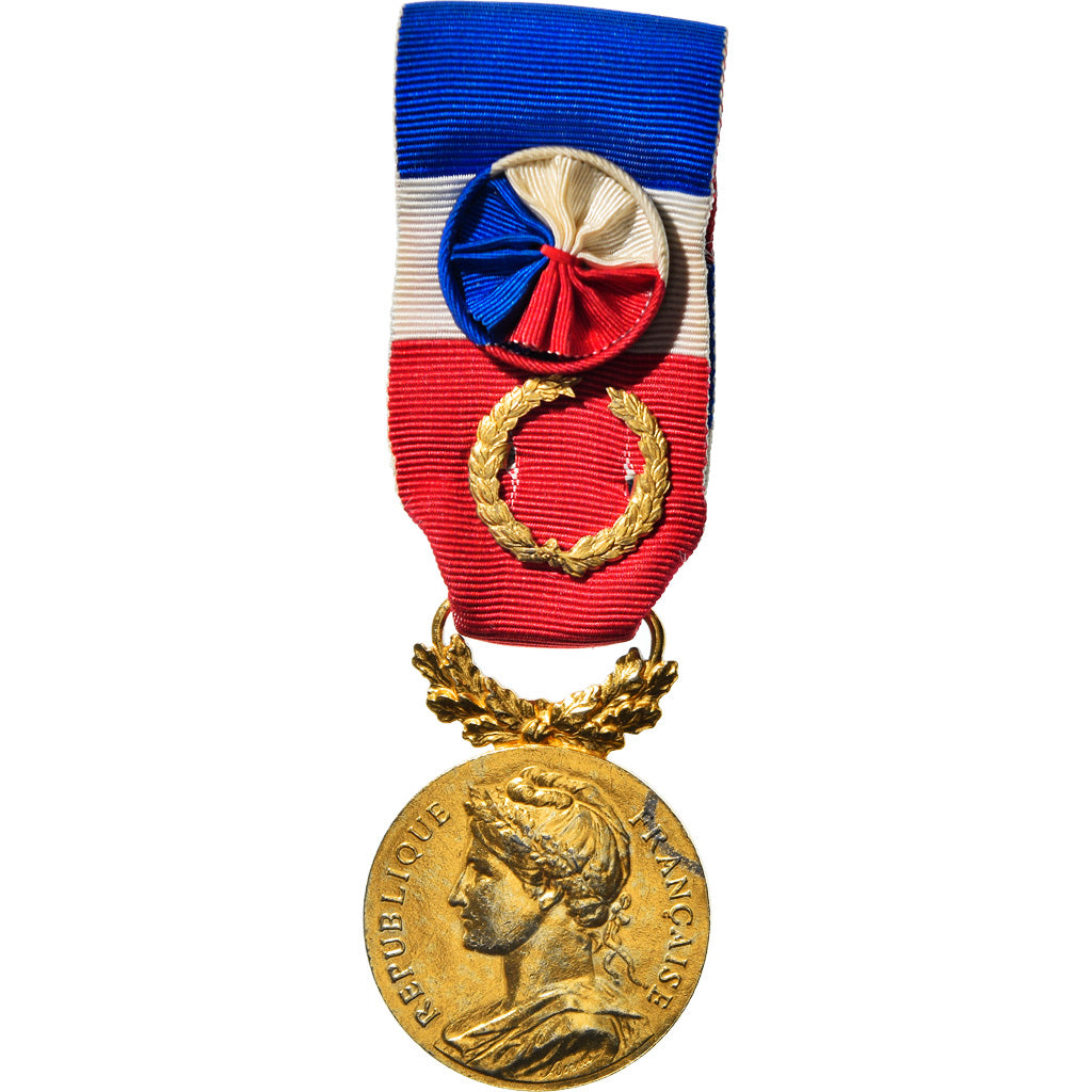 France, Médaille d'honneur du travail, Medal, 1994, Excellent Quality, Borrel
