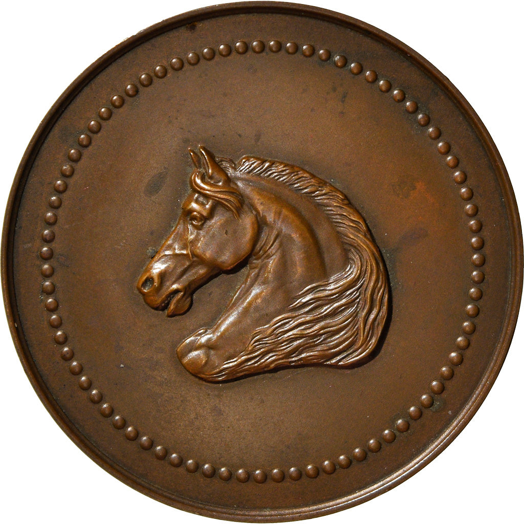 France, Médaille, C.H.I Alger, Agriculture, 1953, Lagrange, TTB+, Bronze