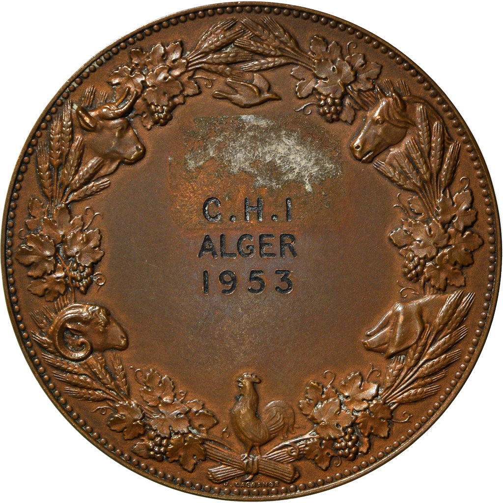 France, Médaille, C.H.I Alger, Agriculture, 1953, Lagrange, TTB+, Bronze