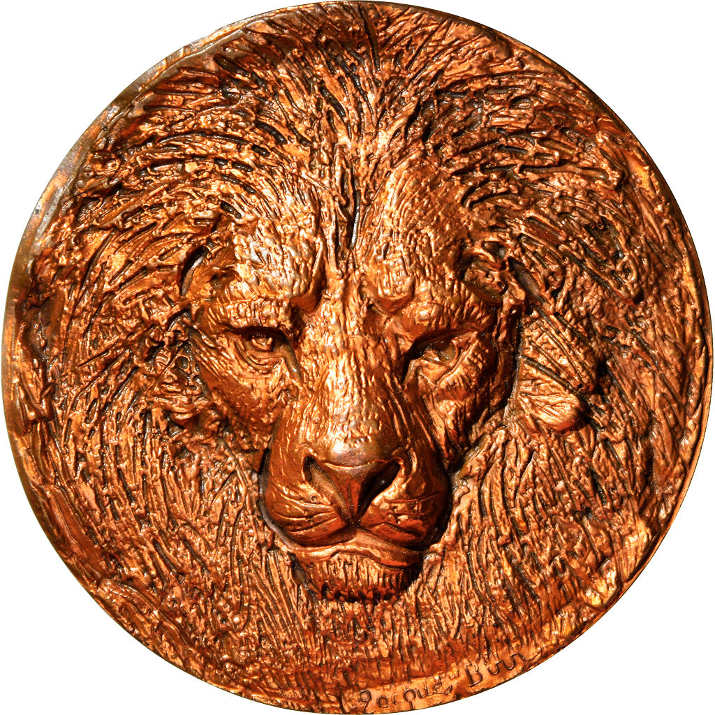 Francia, medaglia, Lions Club de Saint Cloud, Docteur J.P Guyonnet, 1979