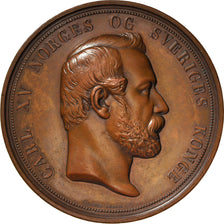 Sweden, Medal, Carl XV, Exposition Internationale de Pêche, Bergen, 1865