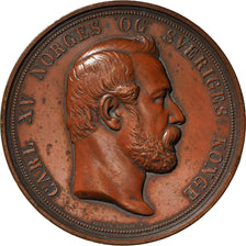 Suède, Médaille, Carl XV, Exposition Internationale de Pêche, Bergen, 1865