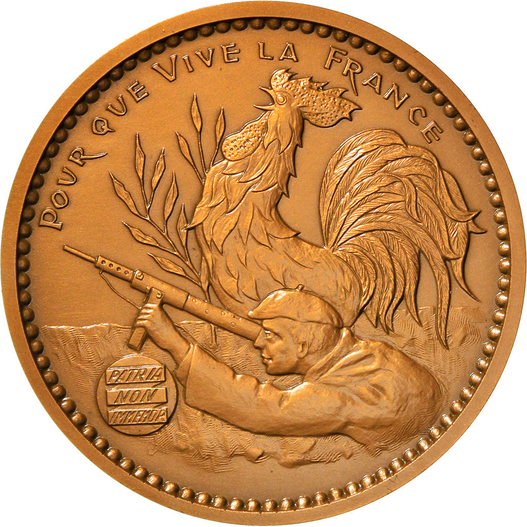 France, Medal, Résistance française, Jean Moulin, WAR, 1985, Mauviel