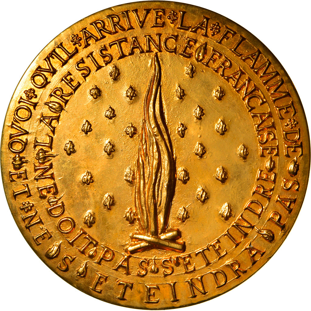France, Medal, La Résistance, History, De Jeager, MS(63), Gilt Bronze