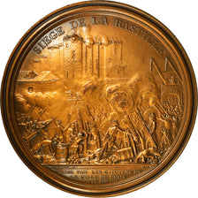 France, Médaille, Révolution Française, Siège de la Bastille, History, 1989